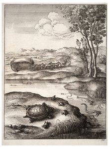 De schildpad en de kikkers door Wenceslaus Hollar